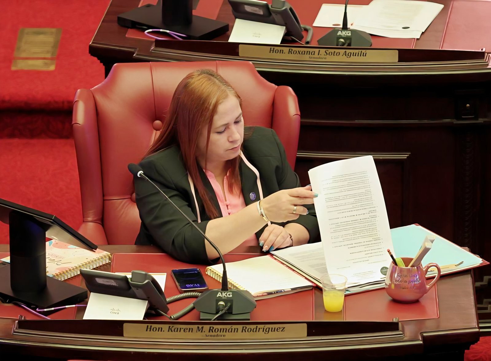 Senadora Karen M. Román Rodríguez solicita investigación sobre condiciones de los Parques de Bombas en el Distrito Mayagüez-Aguadilla